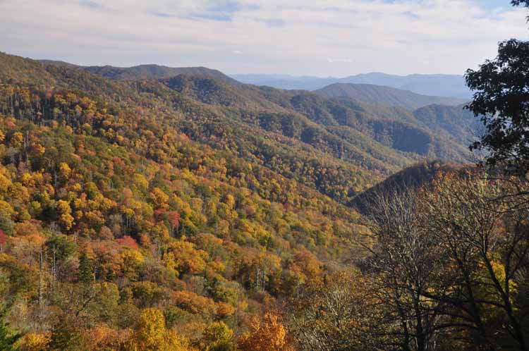 mountain vista